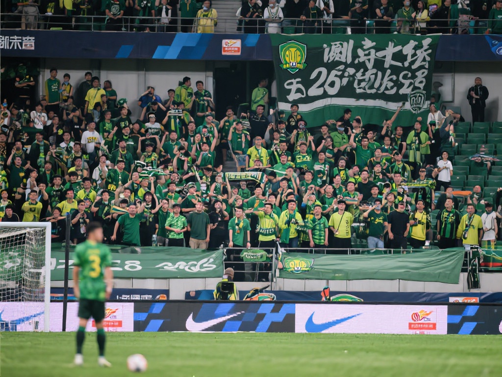 补这一遗憾 补这一遗憾