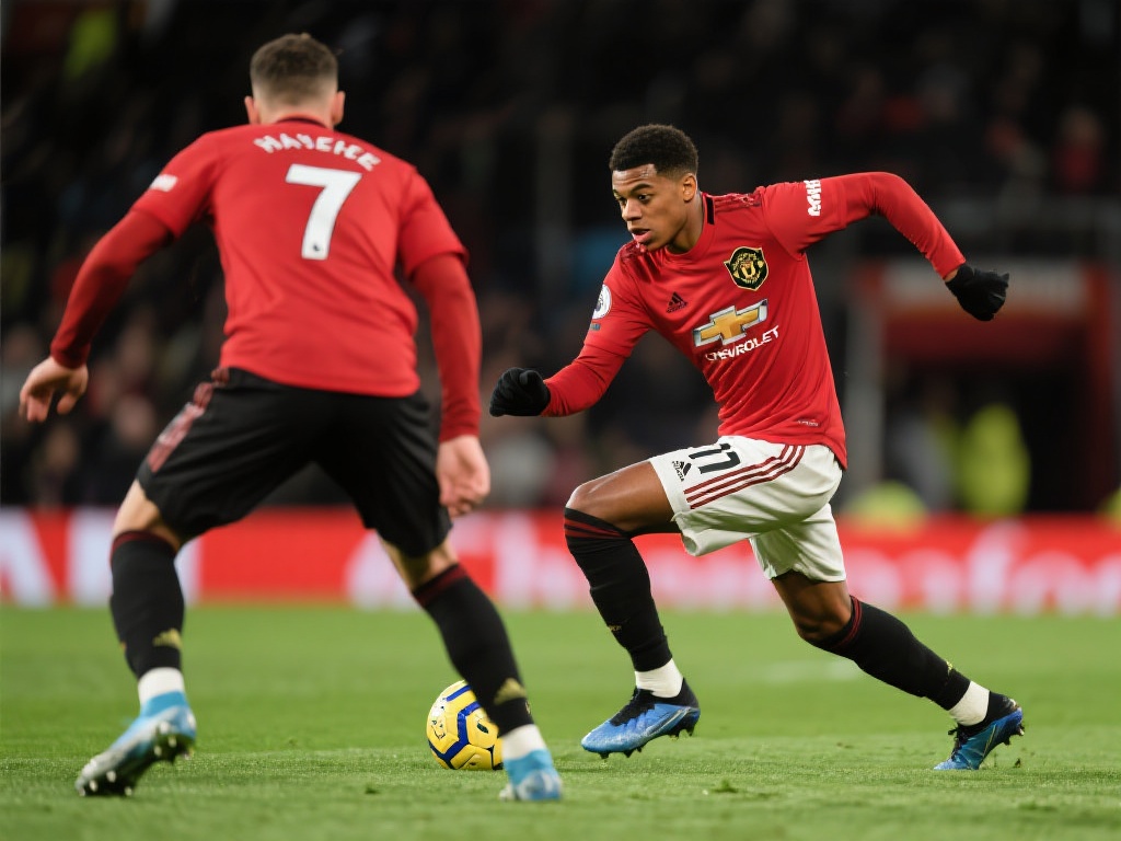 缺乏明确的 缺乏明确的